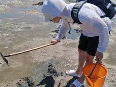 -北海金海湾红树林生态旅游区