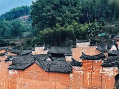 -杨家堂村