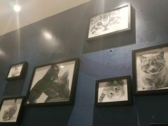 -猫爪爪原切自助烤肉(观音桥阳光世纪店)