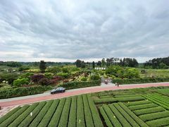-樱桃山旅游景区