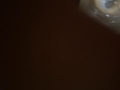 -天津戏剧博物馆