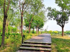 -东郊湿地公园