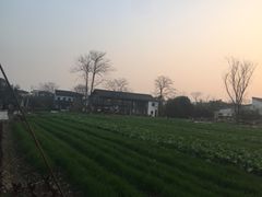 -田园东方蜜桃村的田野营地