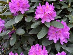 -名花谷生态庄园