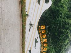 -西双版纳原始森林公园