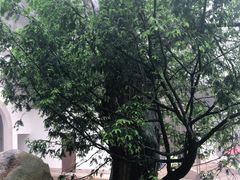 -径山寺