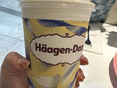 -哈根达斯(大洋百货店)