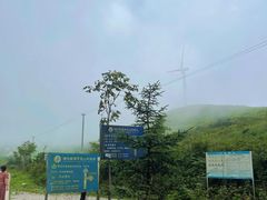 -齐岳山