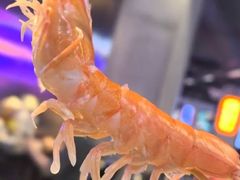 -楼上大排档·顺德菜·粥水·鱼生(苗栗路店)