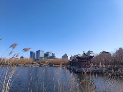 -莲花池公园