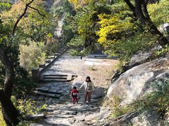 -北京鹫峰国家森林公园