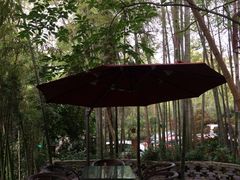 签到图片-旅马餐厅(茅家埠店)