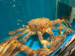 -蟹田居·活蟹料理(东城店)