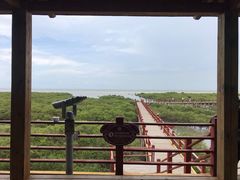 -北海金海湾红树林生态旅游区