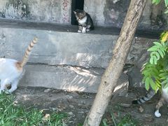 -火车头法国西餐厅