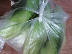 -南汇新场正宗水蜜桃采摘