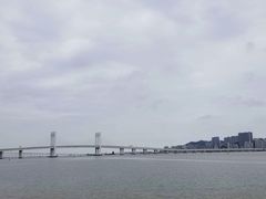 -芒洲湿地公园