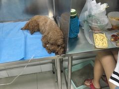 -中农大我爱我爱动物医院(甜水园店)