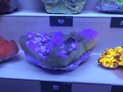 -湖南省地质博物馆