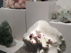 -重庆自然博物馆(新馆)