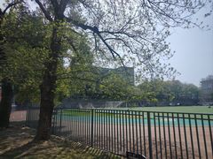 -湖北中医药大学(昙华林校区)