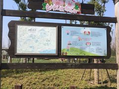 -田园东方蜜桃村的田野营地