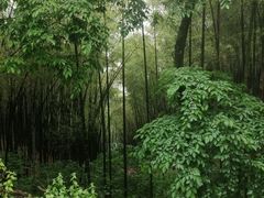 -西湖风景区十里琅珰-五云山