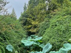 -成都南湖公园