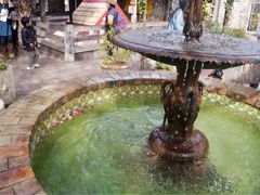 -The Grounds of Alexandria