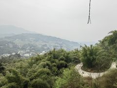 -沐川竹海旅游景区