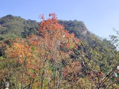 -大慈岩风景区