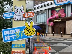 -帕帕拉兹宠物(亚洲旗舰店)