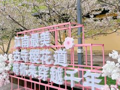 -紫阳古街