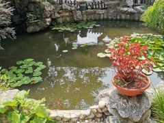 -漫渡庄绿岛花园•隐世庭园菜(滨湖店)