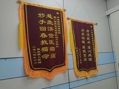 -中农国际动物医院24小时·猫科·骨科·急重症中心