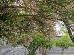 -西宁市东关清真大寺