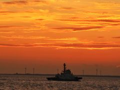 -上海吴淞炮台湾国家湿地公园
