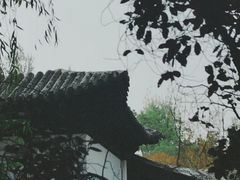 -天津水上公园