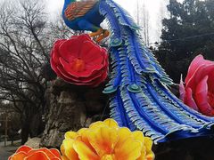 -洛阳市隋唐城遗址植物园