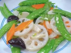 -天鹅到家·保姆月嫂育儿嫂(朝阳店)