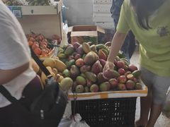 -鸿港海鲜批发市场