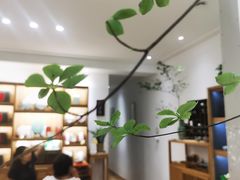 -隆德堂青瓷艺术·茶馆(故宫店)