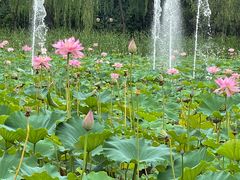 -东升八家郊野公园