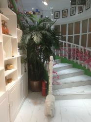 -艺米阳光Hair Salon