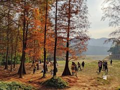 -广州市白云山风景名胜区