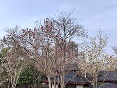 -堤角公园