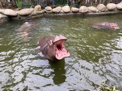 -宁波野生动物园