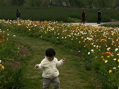 -漩门湾国家湿地公园