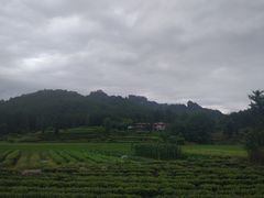 -九曲溪竹筏码头