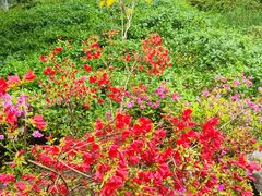 -玄武湖景区-情侣园游乐场